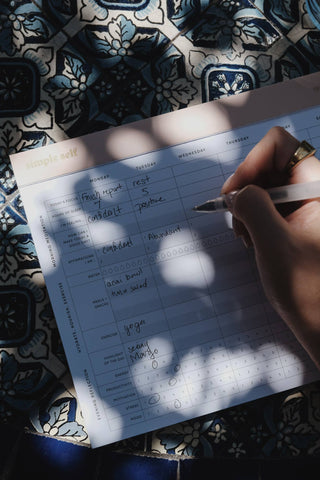 Wellness Tracker Planning Pad - Blush - ATIVE