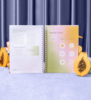 Open spiral-bound book with colorful pages on a blue surface with papayas.