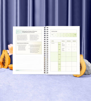 Planner with daily inventory and reflection section on a blue textured surface with pumpkins and a purple curtain in the background.